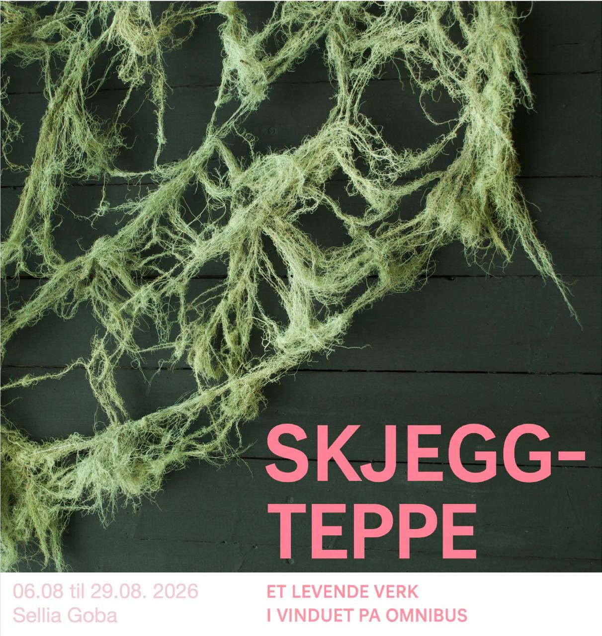 Skjeggteppe
